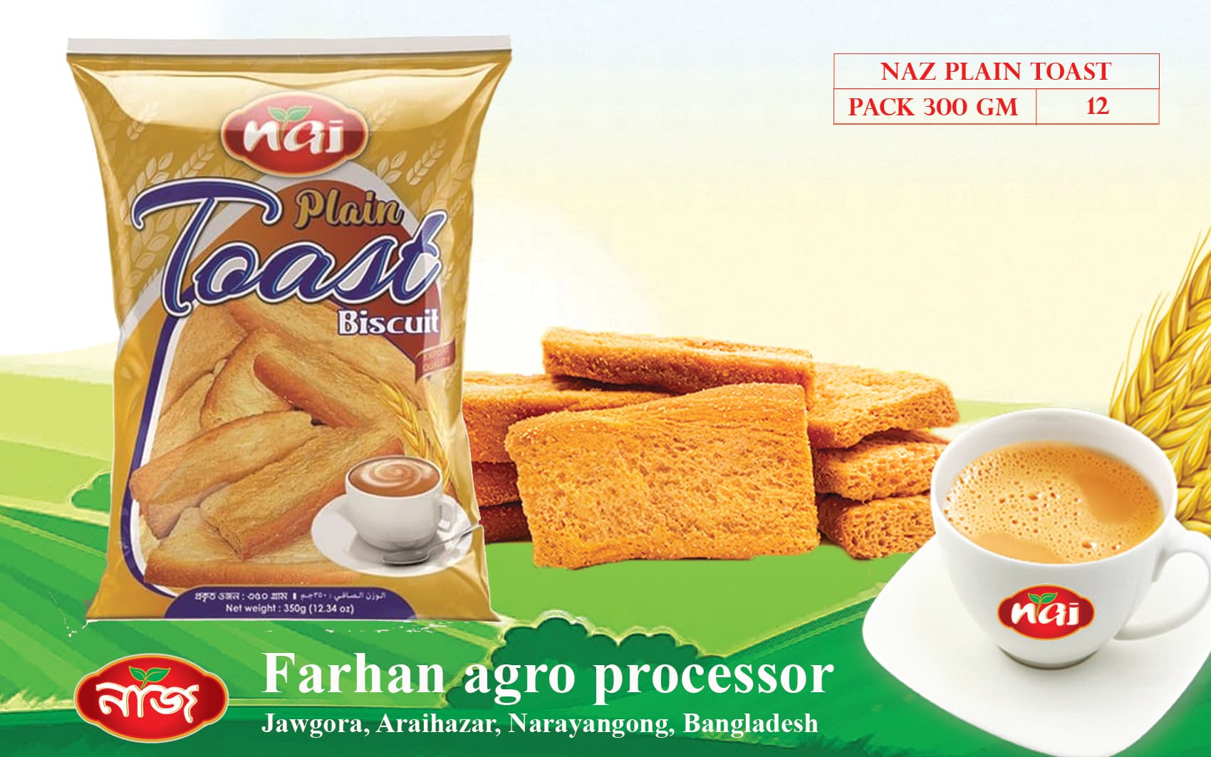 Plain Toast